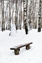 bench and snowman in birch grove in winter