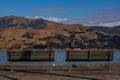 Seagull enjoying the view of the Akaroa bay with two benches