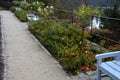 Wooden bench on stone gray pavement in the park with low retaining walls stacked of porphyry. ornamental garden with roses in rosa