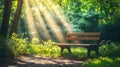 A Wooden Bench in a Sun-Dappled Forest Clearing Royalty Free Stock Photo
