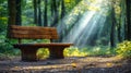 Wooden Bench in a Sunlit Forest Path Royalty Free Stock Photo