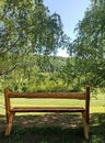 wooden bench surrounded by greenery, Serbia