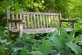 Wooden Bench Surrounded by Hostas