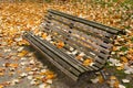 Wooden bench surrounded with leaves in autumn Royalty Free Stock Photo