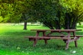 Wooden bench and table on a meadow in the garden on the old Alpaca Farm. Royalty Free Stock Photo