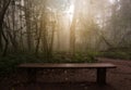 Wooden bench to relax in the foggy jungle.