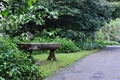 A wooden bench in a tropical park Royalty Free Stock Photo