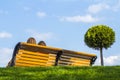 Wooden bench with two girls near green grass and small tree