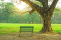 A wooden bench under big green leaves branches of Rain tree and sunshine morning beside fresh green grass lawn yard Royalty Free Stock Photo