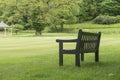 Wooden bench under a big tree standing on a grass field in a park large garden Royalty Free Stock Photo