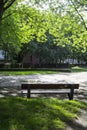 Wooden bench under a maple, Acer palmatum, invites you to linger and pause, in a park in Hamburg. A seat wall made of stone blocks