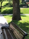 Wooden bench under the shade of a tree in a park Royalty Free Stock Photo