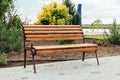 Wooden Bench in a wildflower garden. Royalty Free Stock Photo