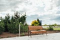 Wooden Bench in a wildflower garden. Royalty Free Stock Photo