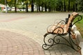 Wooden bench Royalty Free Stock Photo