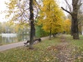 Wooden Benches, Autumn In The Park, Wooden Benches, Lake View