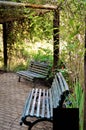 Wooden benches in the city park garden Royalty Free Stock Photo