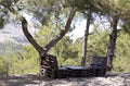 Wooden benches in the forest