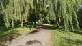 Wooden benches on metal bases and urns are installed along a dirt walkway with a puddle in the park next to a grassy lawn and will Royalty Free Stock Photo