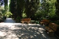 Wooden benches in the park in a cozy picturesque place in the shade of trees next to the path is a good place to relax