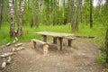 Wooden benches and a table are equipped in a clearing in a birch grove. Debris is visible around, wood and an old fire