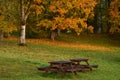 Wooden benches,table near old park