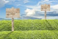 Wooden billboard on the grass Royalty Free Stock Photo