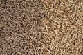 Wooden biomass formed in pellets Royalty Free Stock Photo