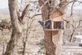 Wooden bird feeder as a treehouse in a winter park. Royalty Free Stock Photo