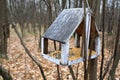 Wooden bird feeder in autumn forest Royalty Free Stock Photo