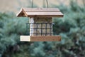 Wooden bird feeder full of food