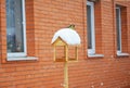 Wooden Bird Feeder with great tit Parus major. Feeding birds in your garden Royalty Free Stock Photo