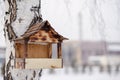 Wooden bird feeder with seeds handging from tree in winter garden.