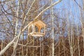 Wooden bird feeder in the shape of plywood house on a spring tree against the blue sky in the park Royalty Free Stock Photo