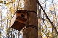 Wooden bird feeder on tree in autumn Park or garden Royalty Free Stock Photo