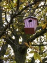 Wooden bird house