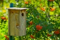 Wooden Bird House Royalty Free Stock Photo