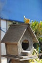 Wooden bird house Royalty Free Stock Photo