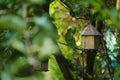 Birdhouse on tree