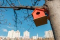 A wooden bird house hanging on a tree in front of cityscape. Colorful birdhouse, nesting box for songbirds in park.