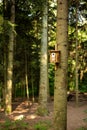 Wooden bird house nailed to a tree trunk in a forest. Selective focus, no people, sunny summer day Royalty Free Stock Photo