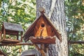 Wooden bird house, nesting box on tree in forest Royalty Free Stock Photo