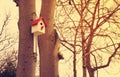 Wooden bird house, nesting box on the tree. toned Royalty Free Stock Photo