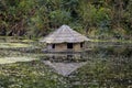 Wooden bird house with reflection floating on the water in the p Royalty Free Stock Photo