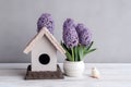 Wooden bird house on the table with potted hyacinth flower. Generate ai