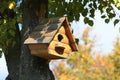 Wooden bird house on a tree