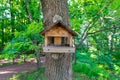 Wooden bird house on a tree in the park or forest. Amazing spring green colors. Royalty Free Stock Photo