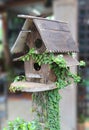 Wooden bird houses covered with ivy Royalty Free Stock Photo