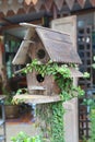 Wooden bird houses covered with ivy Royalty Free Stock Photo