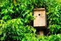 Wooden bird nesting box in spring Royalty Free Stock Photo